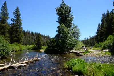 DSC_9912 (Large).JPG